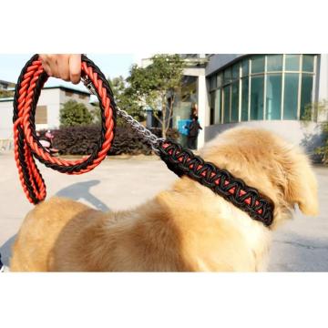 Collar de perro y conjunto de correa