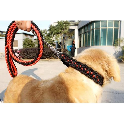 Kolar anjing dan leash set