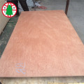 15 mm Bintangor BBCC Plywood for furniture