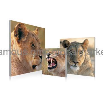 Animal Painting for Room Wall Art