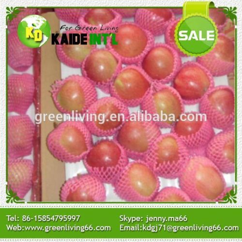 Grosse Gala Apfelfrucht