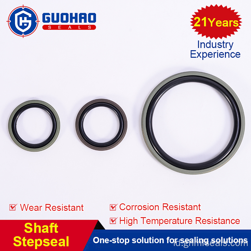 Segel piston cincin-O-ring berkualitas tinggi