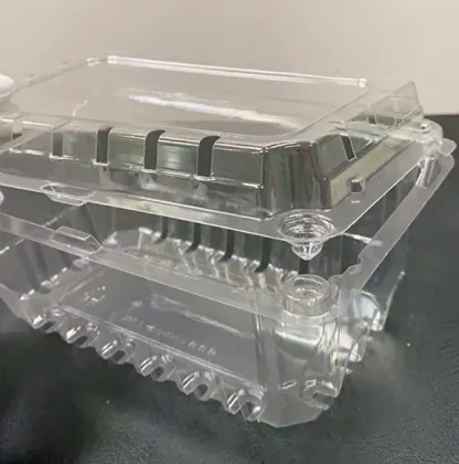 Transparent Plastic Box Pack for Naturipe