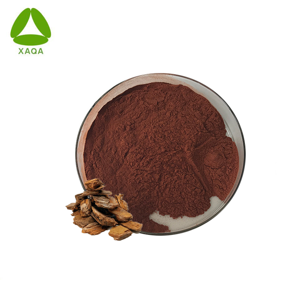 Natural Antioxidant Oastal Pine Extract OPC 95% Powder