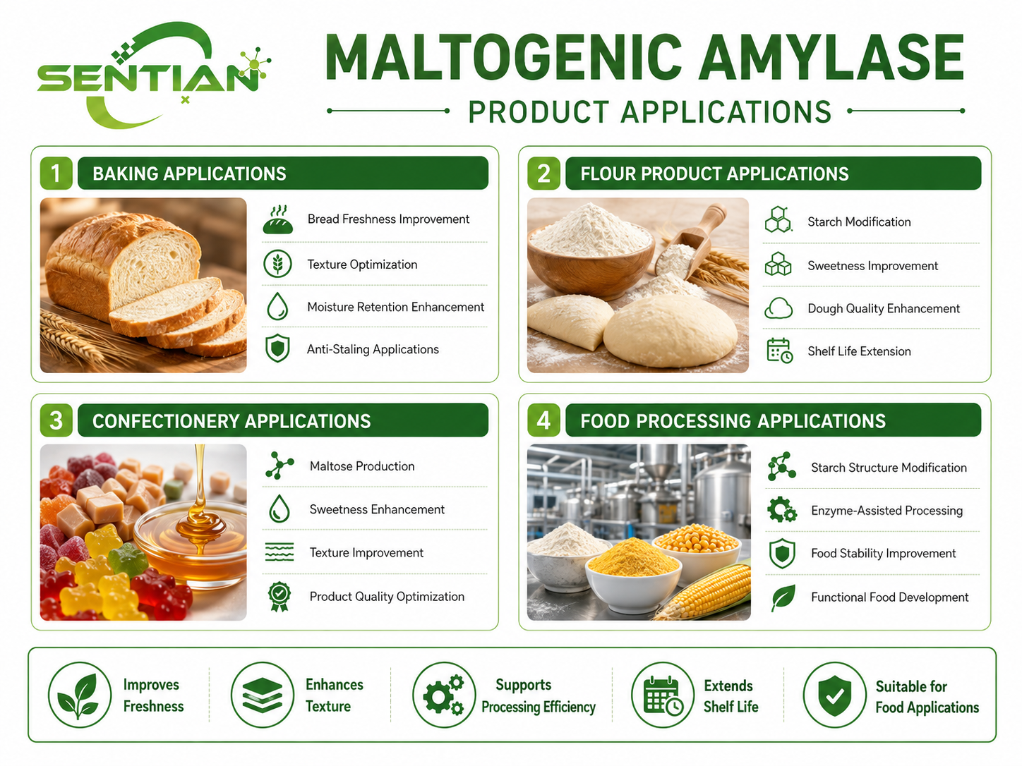 Maltogenic Amylase (2)