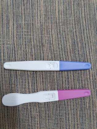 High Accurate Early Pregnancy hCG Test Midstream 6.0mm