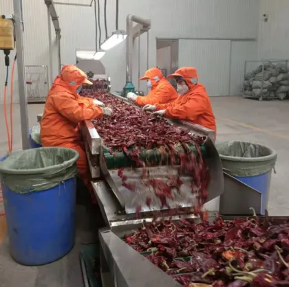 Dried Red Chilli Chaotian Chilli