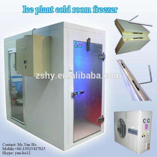 Ice plant cold room freezer