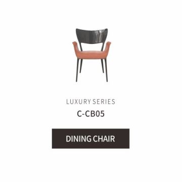 Luxury upholstery dining chair