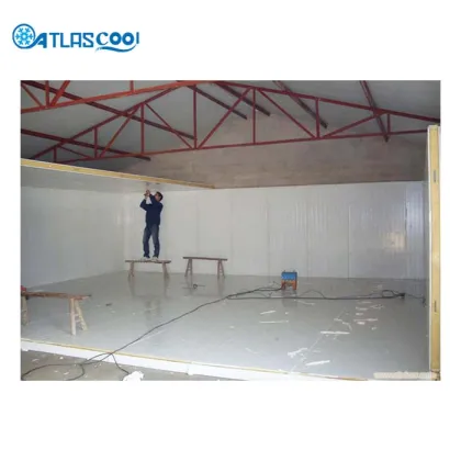 Cold Storage Room with Bitzer Compressor Unit