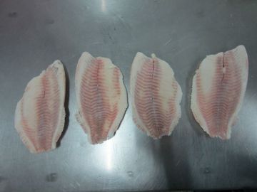 IQF Tilapia Fillet