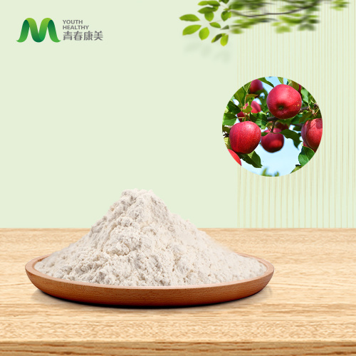 Aukščiausios organinės obuolių milteliai