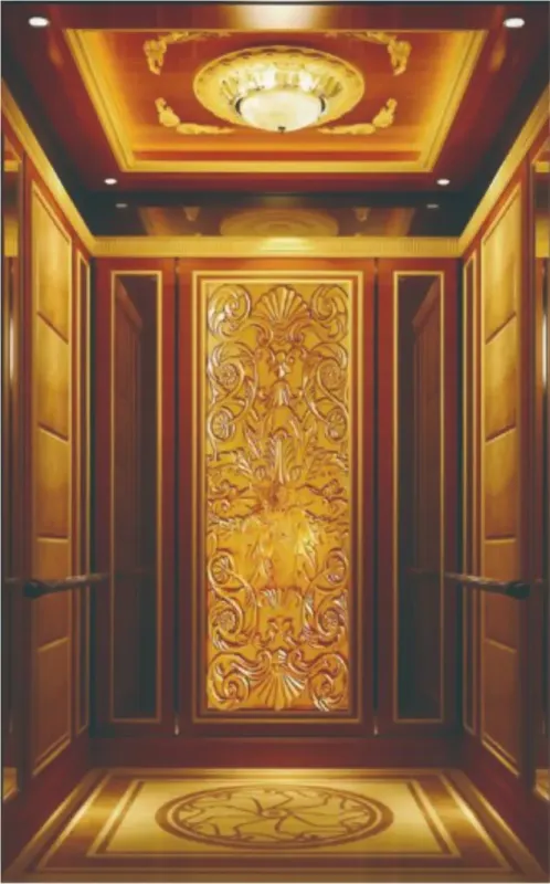 Customized Residential and Commercial Elevator Solutions