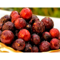 Pure Natural Myrciaria Dubia Extract Camu Camu Extract