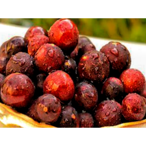 Pure Natural Myrciaria Dubia Extract Camu Camu Extract