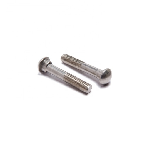 Stainless steel track bolts / tail screws