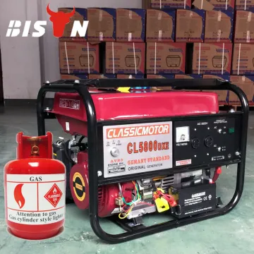 BISON(CHINA) Zhejiang Gas Series Home Gas Generator Biogas Generator Price Pakistan Nature Gas Generator
