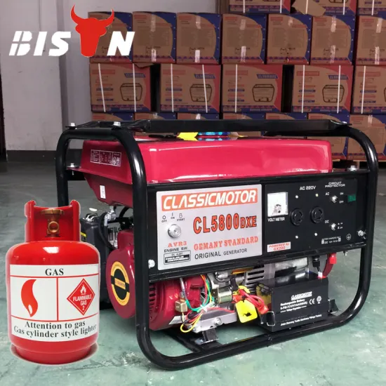 BISON(CHINA) Generator Supplier All Kinds Of Gas Generator, LPG Generator, Biogas Generator