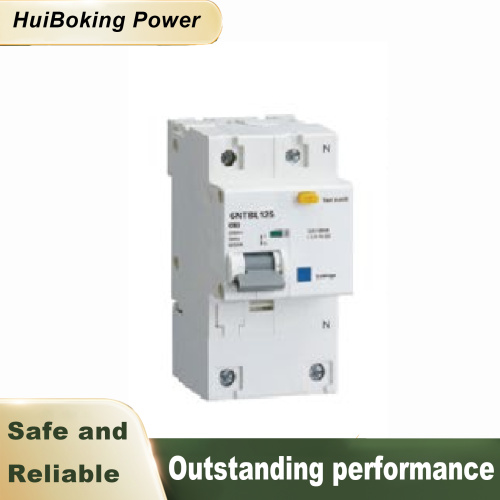 1P+N/Disjoncteur à courant résiduel (RCB)