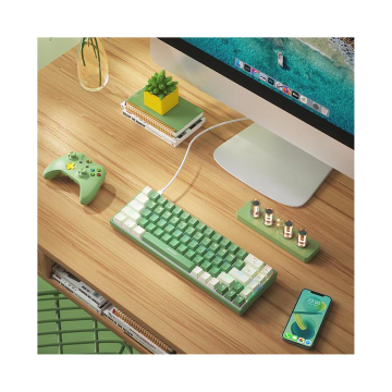 BOW Custom Brown Switch 65% Gaming Keyboard with Hot Swappable Keycaps for Laptop and Desktop