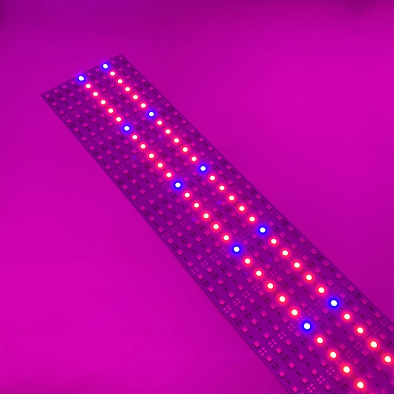 5 Red 1 Blue Led Plant Growth Strip