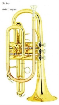 cornetHCL-731