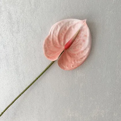 3D Printed Small Artificial Anthurium Andraeanum Lind for Home Greenery