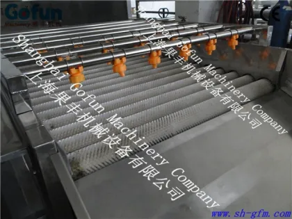 High Pressure Water Spray Fruit Washing Machine