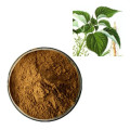 Stinging Nettle Root Extract Nettle Extract