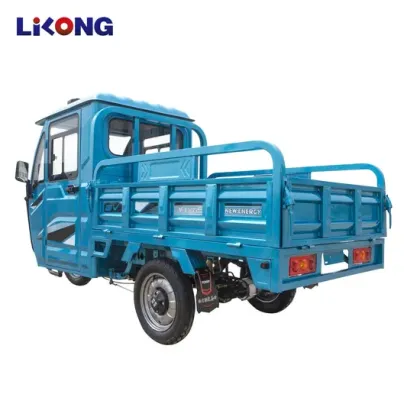 Wholesale Customized 3 Wheel Electric Bike - Ewheels Trike Electric Cargo Tricycle for Adults