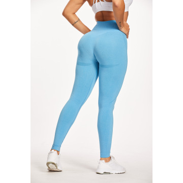 Moisture Wicking Training Seamless Yoga Leggings