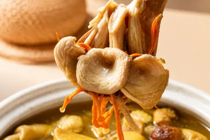 Elm Yellow Mushroom Foods