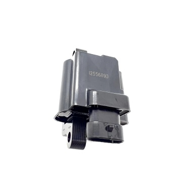Auto Parts Ignition Coil 12556893 12558693 3859078 38590782 D581 Uf271 For Chevrolet Gmc" can be shortened to:

"Ignition Coils for Chevrolet Gmc (Part Numbers: 12556893, 12558693, 3859078, 38590782, D581, Uf271)