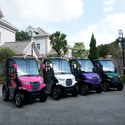 LVTONG 2 Seater Low Speed Electric Vehicle with Closed Doors