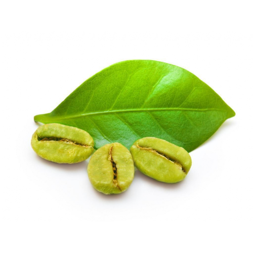 Green Coffee Bean P.E. 50%HPLC