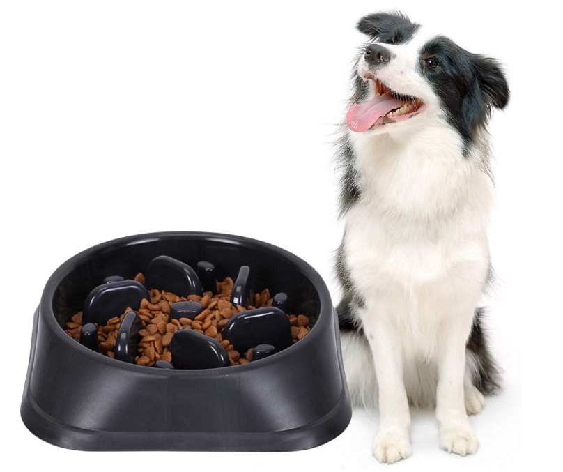 Anti-choke Dog Feed Bowl