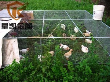 Cages Application and Hexagonal Hole Shape chicken wire mesh
