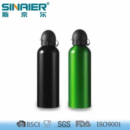 Vacuum insulated stainless steel eco life water bottle