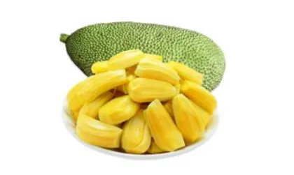 Tropical Fruit of Jackfruit