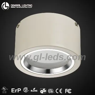 22W High brightness led downlights