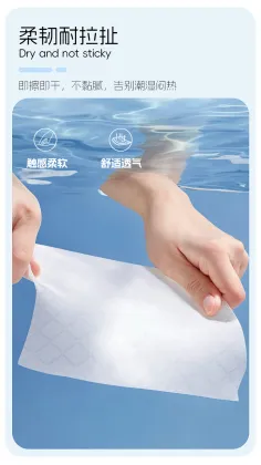 Disposable Toilet Wet Wipes