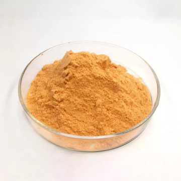 Wholesale seaweed extract powder CNCSBIO
