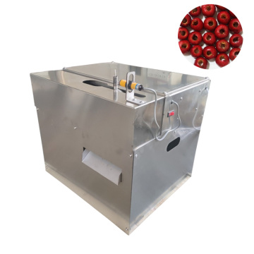 Máquina de picaduras de fecha roja eléctrica industrial: eliminación eficiente de semillas para el procesamiento de frutas