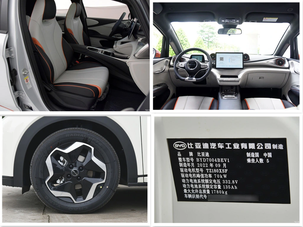 Nuevo 2023 BYD BYD ELECTRIC ASEGULL Small EV Vehicle 400 km 4 puerta 4 asiento