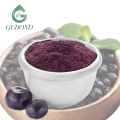 Proveedor a granel de polvo de baya de Acai natural