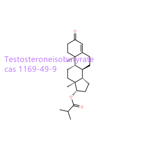 Pureza 99% testosteroneisobutirato CAS 1169-49-9