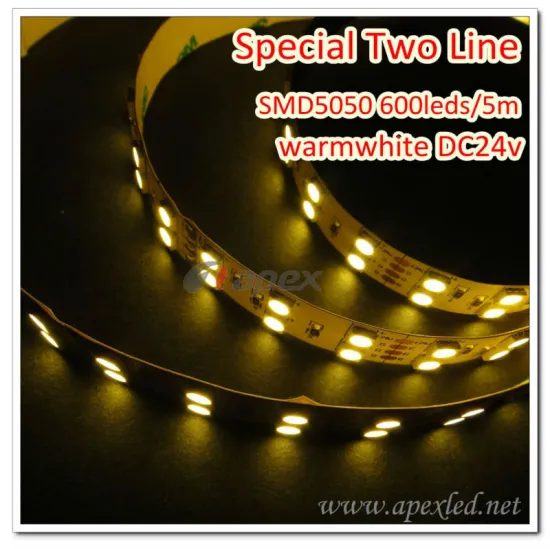 shining doubleline strip smd5050 600p 5m per roll 24v plastic strip roll