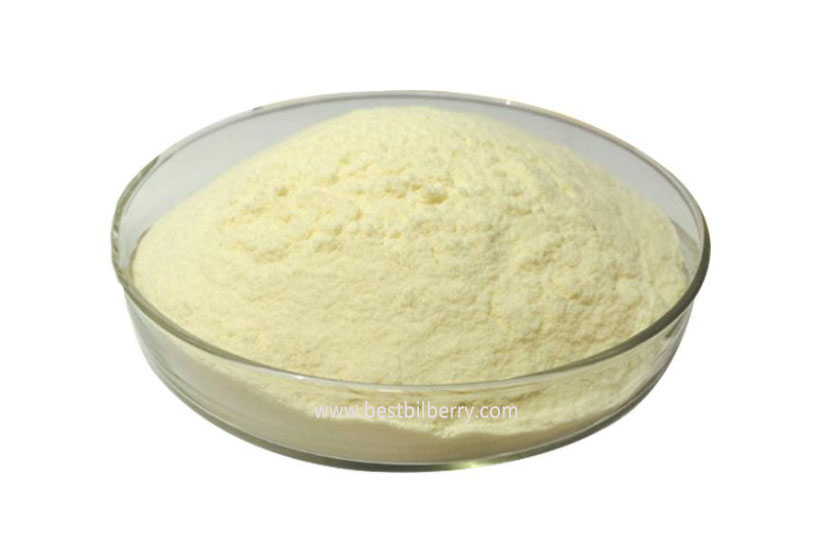 Spray dried banana powder banana fruit powder,Extract powder