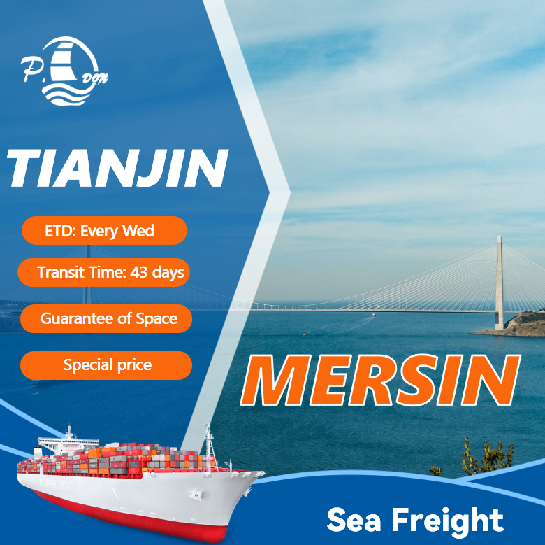 Sea Freight From Tianjin To Mersin Png