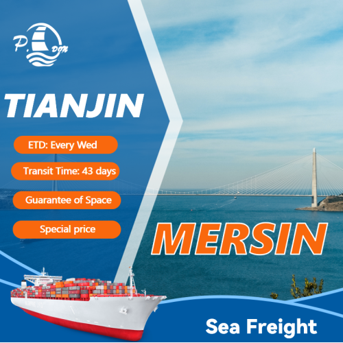 Shipping from Tianjin to Mersin